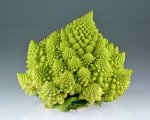 Romanesco_broccoli_(Brassica_oleracea).jpg