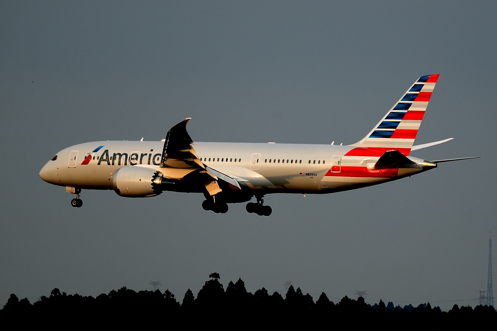 American Airlines Dreamliner